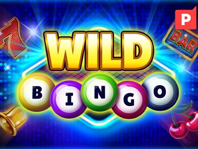 44 win bet Bingo Selvagem